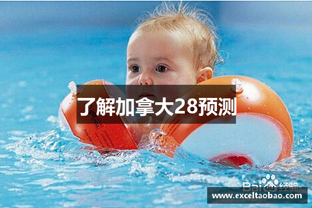 了解加拿大28预测